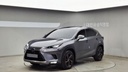 2019 LEXUS NX