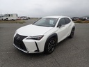 2019 LEXUS UX