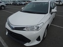2019 TOYOTA Corolla Fielder