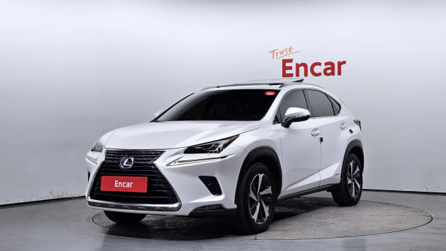 2018 LEXUS NX