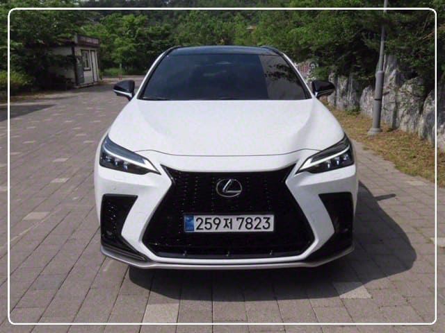 2024 LEXUS NX