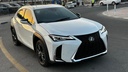 2020 LEXUS UX