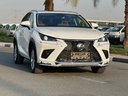 2021 LEXUS NX