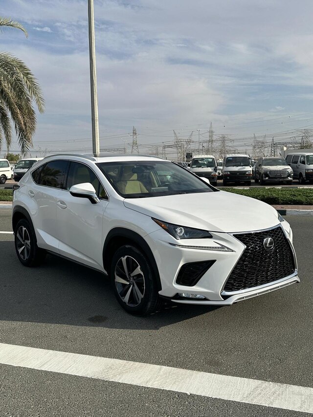 2021 LEXUS NX