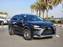 2020 LEXUS NX, 