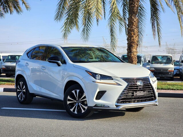 2020 LEXUS NX