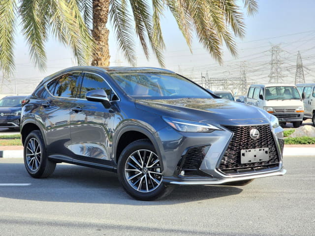 2021 LEXUS NX