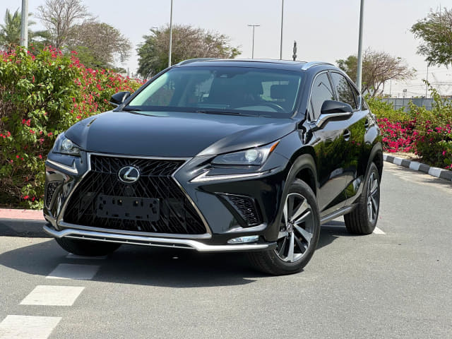 2017 LEXUS NX, 