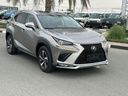 2019 LEXUS NX