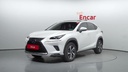 2019 LEXUS NX