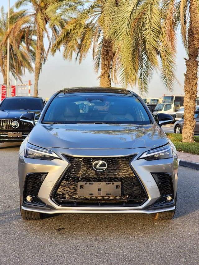 2022 LEXUS NX