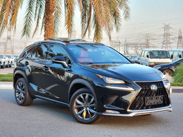 2017 LEXUS NX