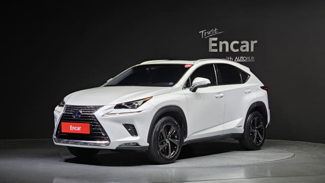 2019 LEXUS NX