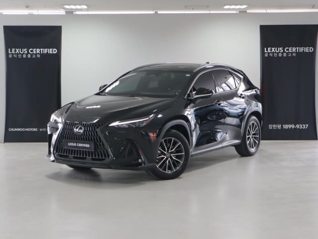 2024 LEXUS NX, 