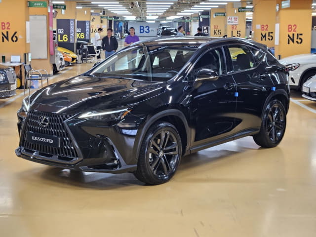 2024 LEXUS NX