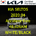 2020 KIA Seltos