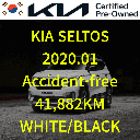 2020 KIA Seltos