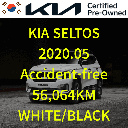 2020 KIA Seltos