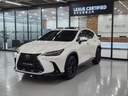 2024 LEXUS NX