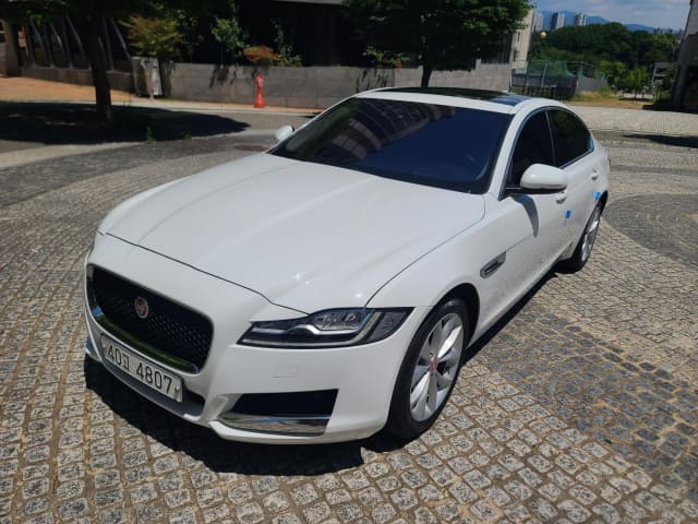 2019 JAGUAR XF