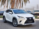 2021 LEXUS NX, 