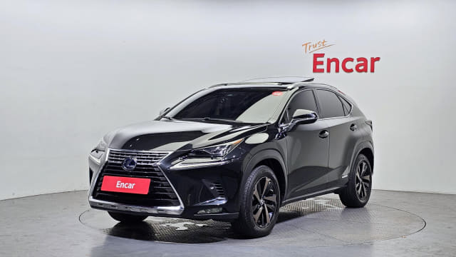 2019 LEXUS NX