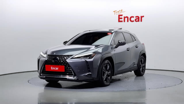 2020 LEXUS UX