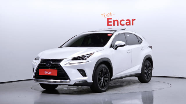 2019 LEXUS NX