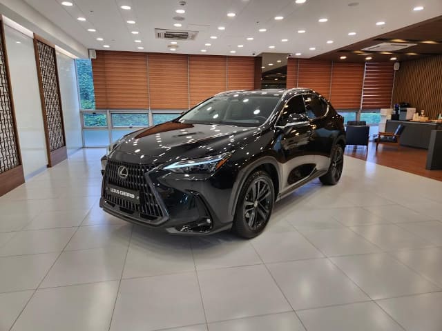 2024 LEXUS NX