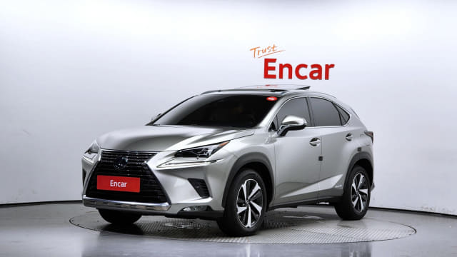 2019 LEXUS NX