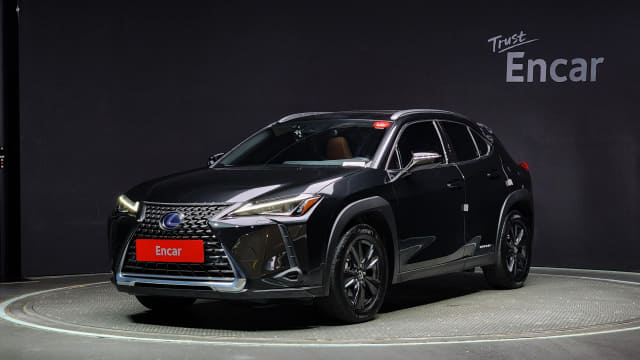 2021 LEXUS UX