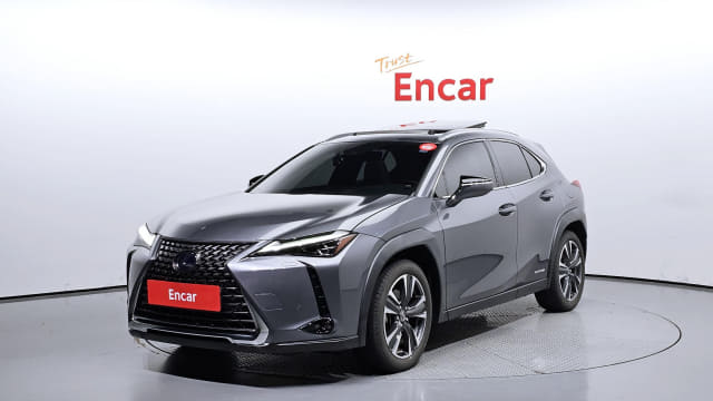 2019 LEXUS UX