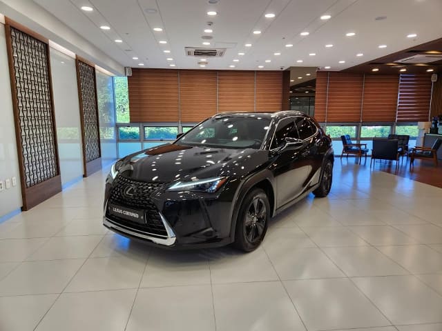 2024 LEXUS UX