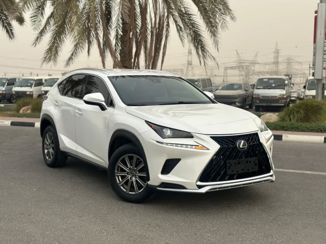 2019 LEXUS NX