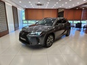 2024 LEXUS UX