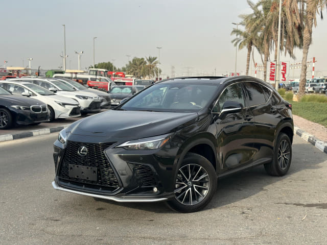 2024 LEXUS NX