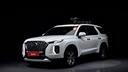 2019 HYUNDAI PALISADE