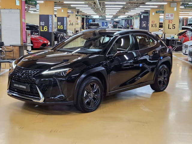 2024 LEXUS UX