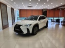 2024 LEXUS UX