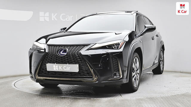 2020 LEXUS UX