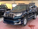 2019 TOYOTA Land Cruiser Prado