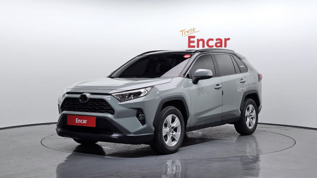 2019 TOYOTA RAV4