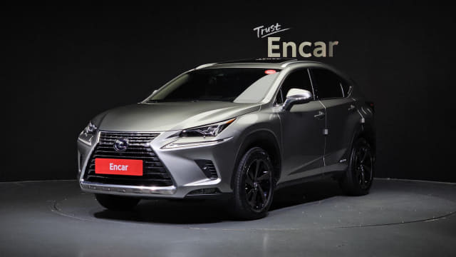 2021 LEXUS NX