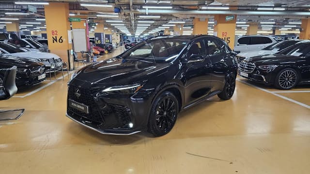 2024 LEXUS NX