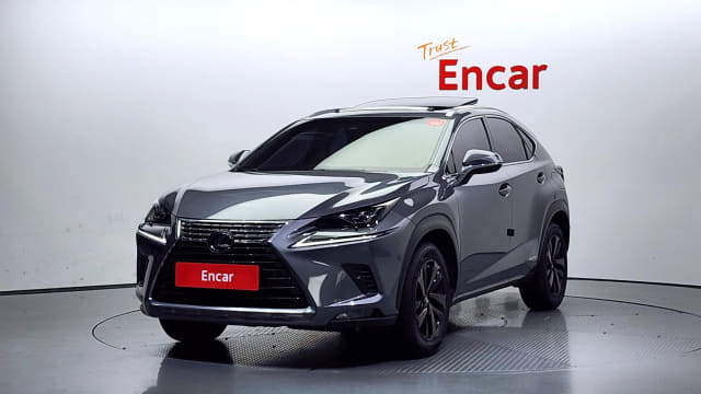 2019 LEXUS NX