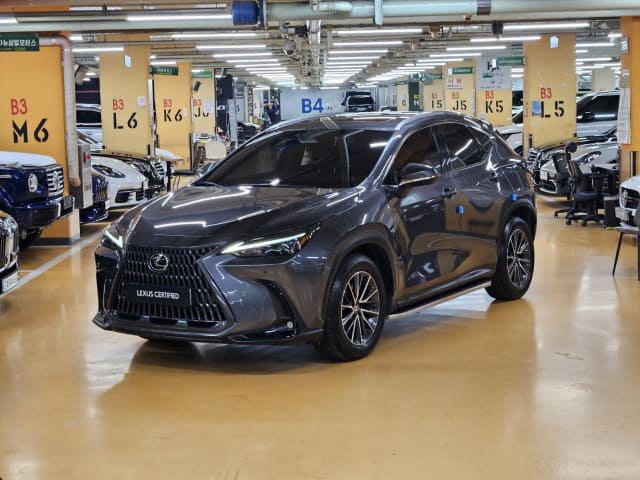 2024 LEXUS NX