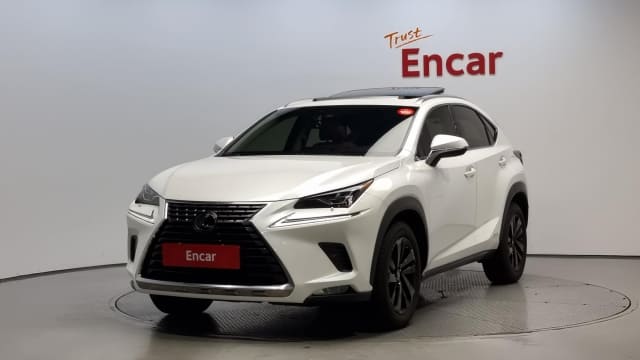 2020 LEXUS NX, 