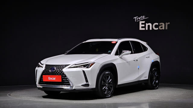 2020 LEXUS UX