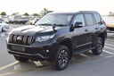 2021 TOYOTA Land Cruiser