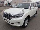 2019 TOYOTA Land Cruiser Prado